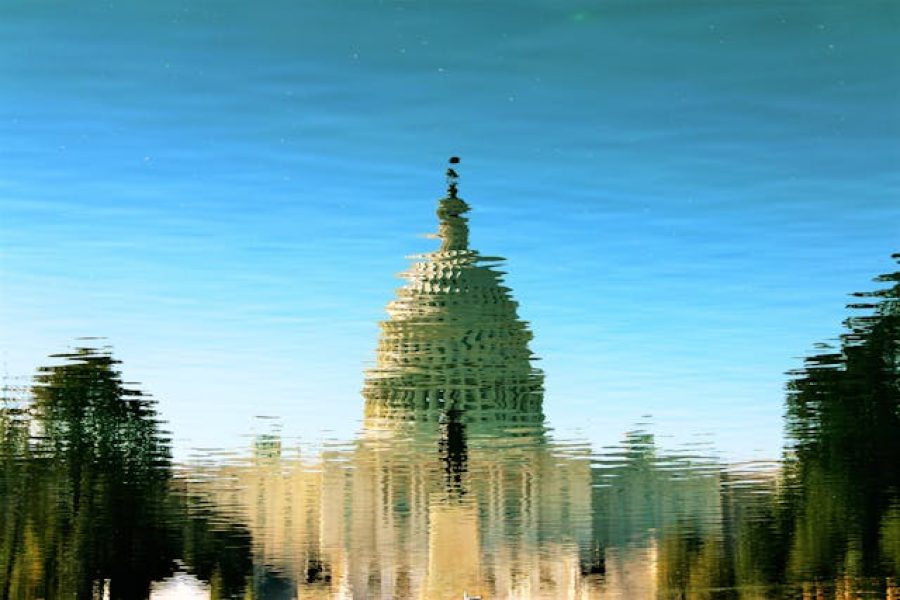 Project Cycle Management and Logical Framework—Local Trainer in Washington, D.C.